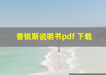 普锐斯说明书pdf 下载